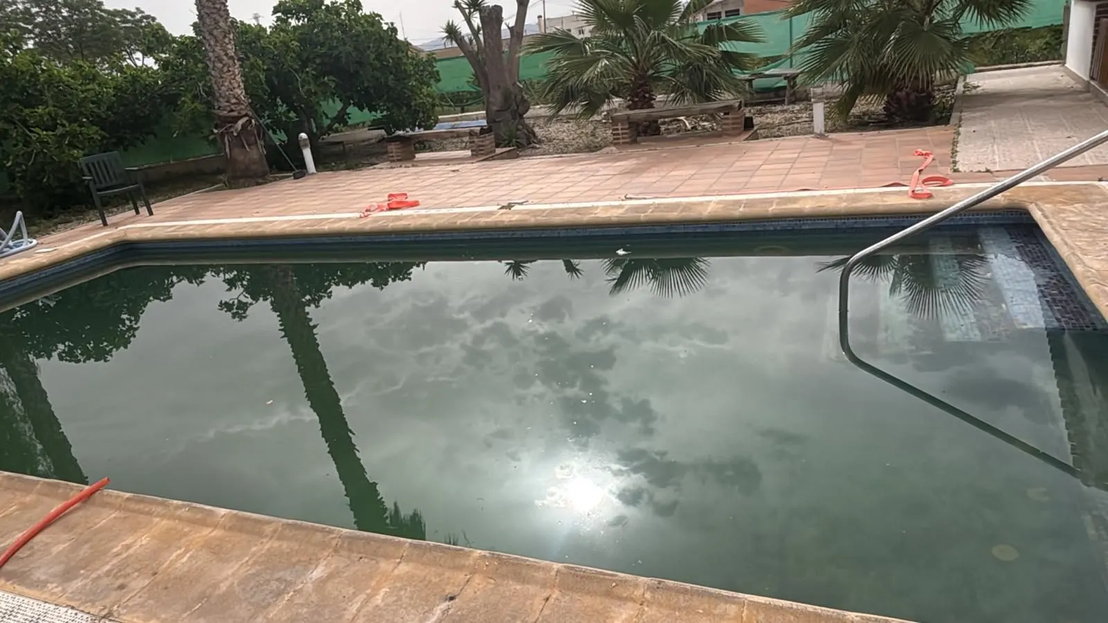 Pool with green water from lack of maintenance, before treatment